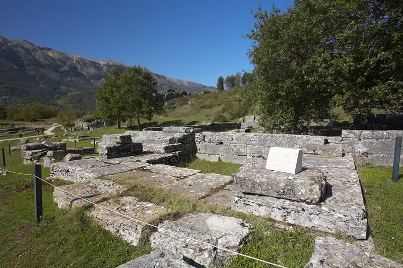 ierioikia